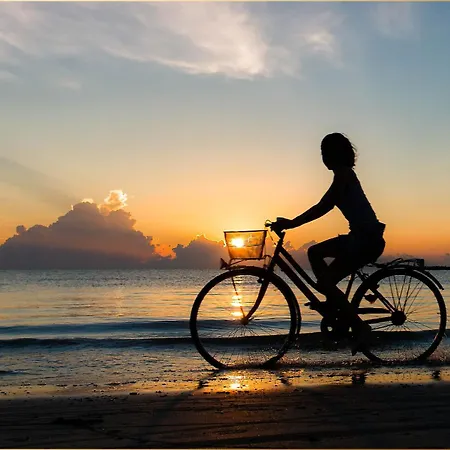 Ostseeglueck App Ostseesonne Daire Loddin